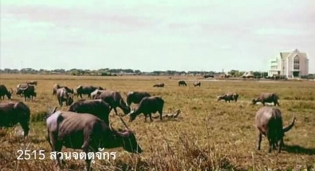 รวมภาพ กาลครั้งหนึ่งที่ กทม.
