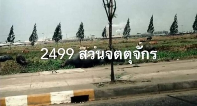 รวมภาพ กาลครั้งหนึ่งที่ กทม.