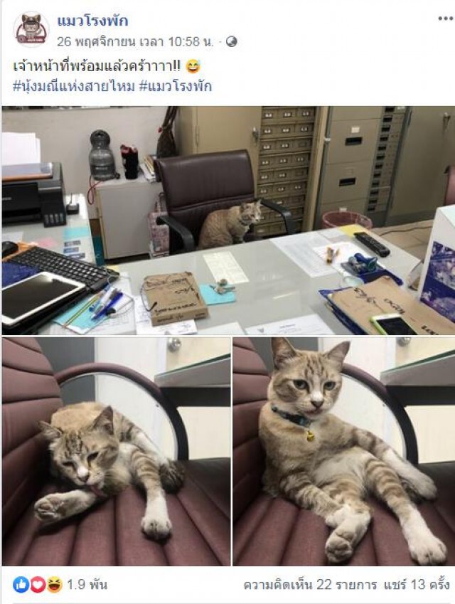 เปิดภาพ "น้องเหมียว" ประจำโรงพัก