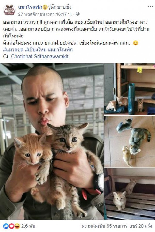 เปิดภาพ "น้องเหมียว" ประจำโรงพัก