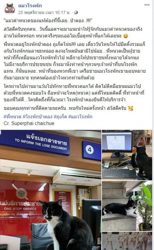 เปิดภาพ "น้องเหมียว" ประจำโรงพัก