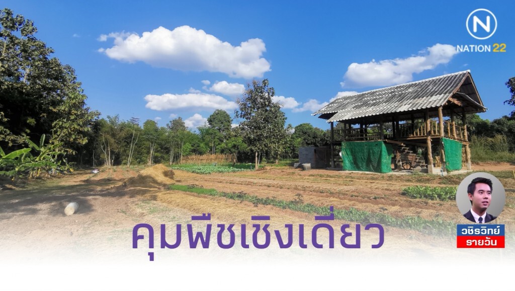 เงื่อนไขทำกินในป่า​ ที่​ดิน คทช.​ มีเป้าหมายคุมเกษตรเชิงเดี่ยว