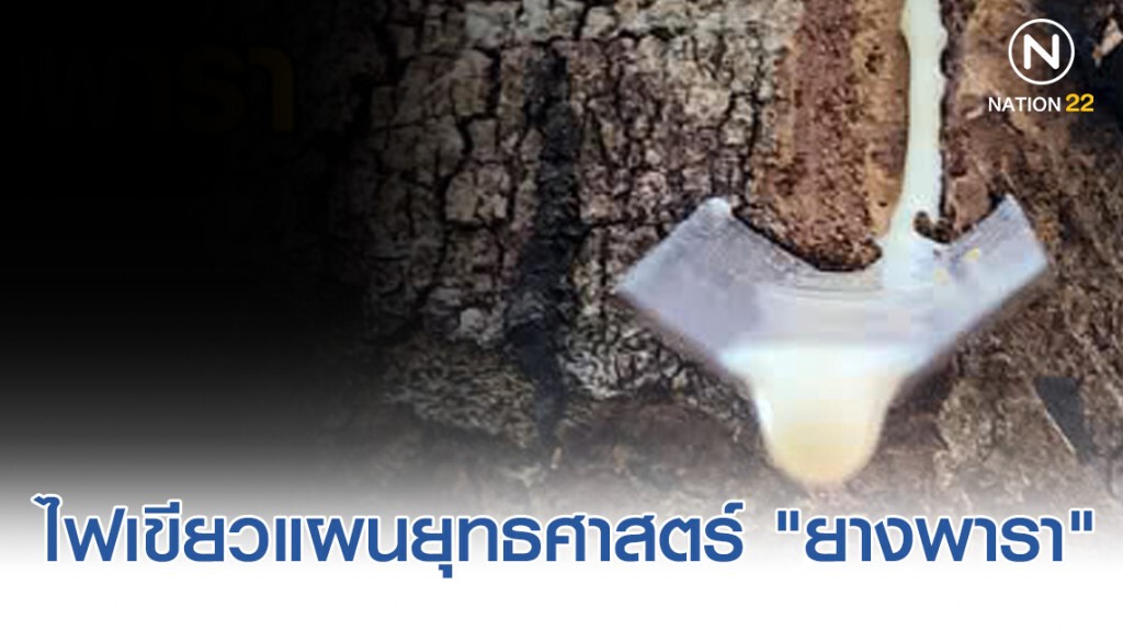 รัฐบาลไฟเขียวแผนยุทธศาสตร์ "ยางพารา" 20 ปี ตั้งเป้าส่งออก 8 แสนล้านบาท