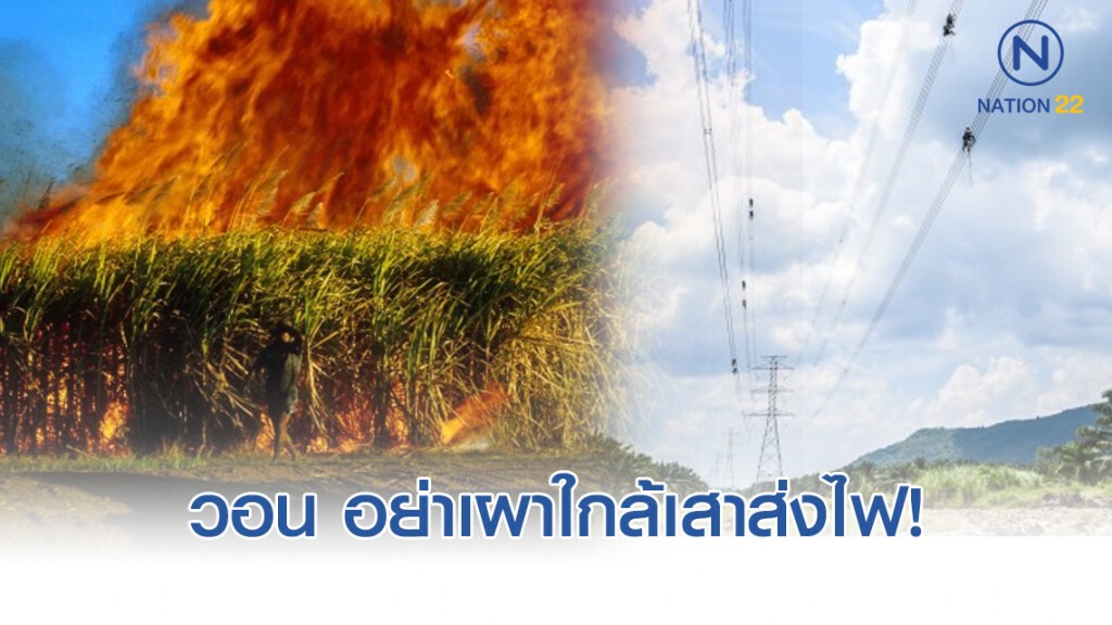 กฟผ. ขอความร่วมมือไม่เผาไร่อ้อย-วัชพืช ใกล้แนวเสาสายส่งไฟฟ้าแรงสูง