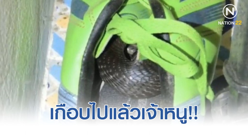 เตือนภัยหน้าหนาว เด็กชายวัย 10 ขวบหวิดดับ หลังงูเห่าซุกในรองเท้า!! เตือนภัยหน้าหนาว เด็กชายวัย 10 ขวบหวิดดับ หลังงูเห่าซุกในรองเท้า!!