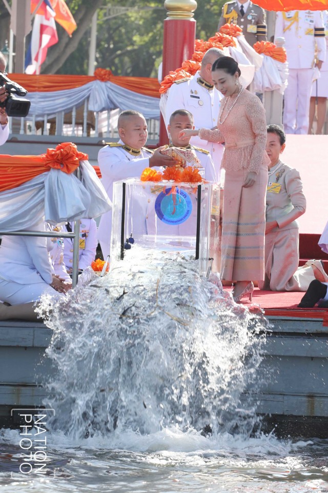 "กรมหลวงราชสาริณีฯ" ทรงบำเพ็ญพระกุศล ในโอกาสวันคล้ายวันประสูติ