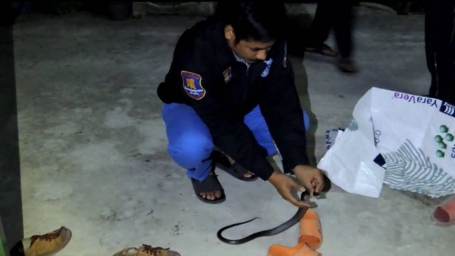 เตือนภัยหน้าหนาว เด็กชายวัย 10 ขวบหวิดดับ หลังงูเห่าซุกในรองเท้า!!