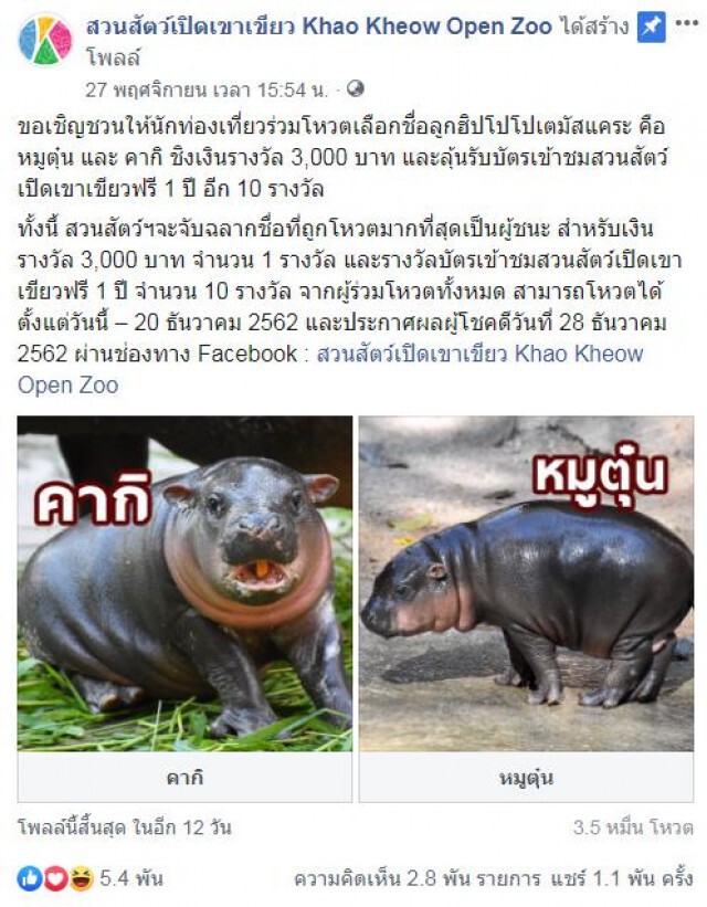 ร่วมโหวตเลือกชื่อลูกฮิปโปโปเตมัสแคระ คือ หมูตุ๋น และ คากิ