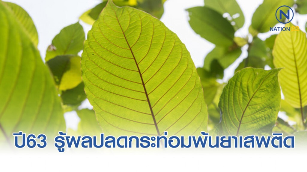 เปิดปีใหม่63 รู้ผลปลดกระท่อมพ้นยาเสพติด!?