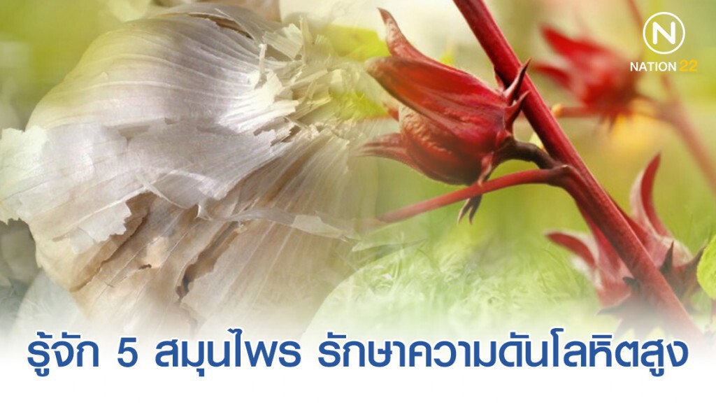 5 สมุนไพร รักษาความดันโลหิตสูง