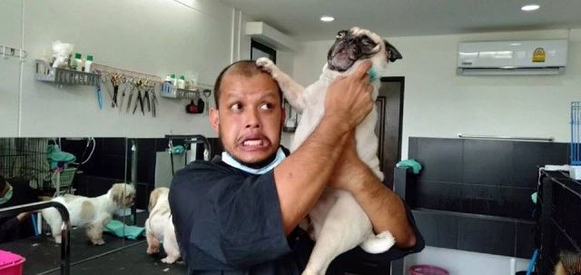 สุดฮาช่างท๊อป กับเหล่าน้องหมา-แมว สุดเลิฟ!