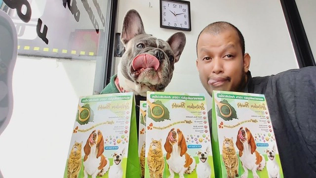 สุดฮาช่างท๊อป กับเหล่าน้องหมา-แมว สุดเลิฟ!