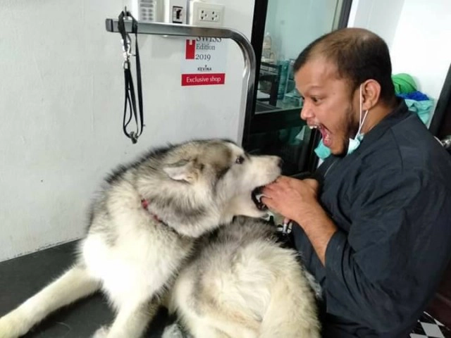 สุดฮาช่างท๊อป กับเหล่าน้องหมา-แมว สุดเลิฟ!