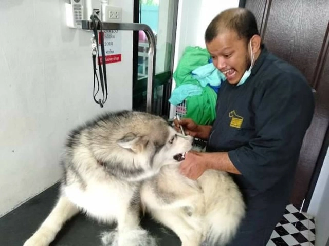 สุดฮาช่างท๊อป กับเหล่าน้องหมา-แมว สุดเลิฟ!