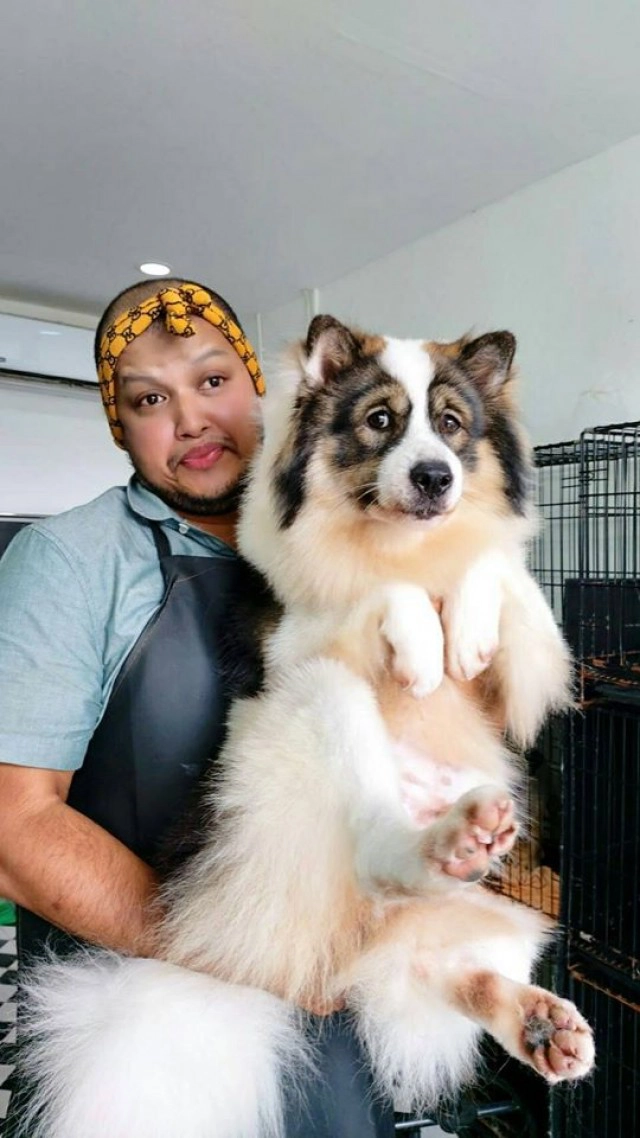 สุดฮาช่างท๊อป กับเหล่าน้องหมา-แมว สุดเลิฟ!