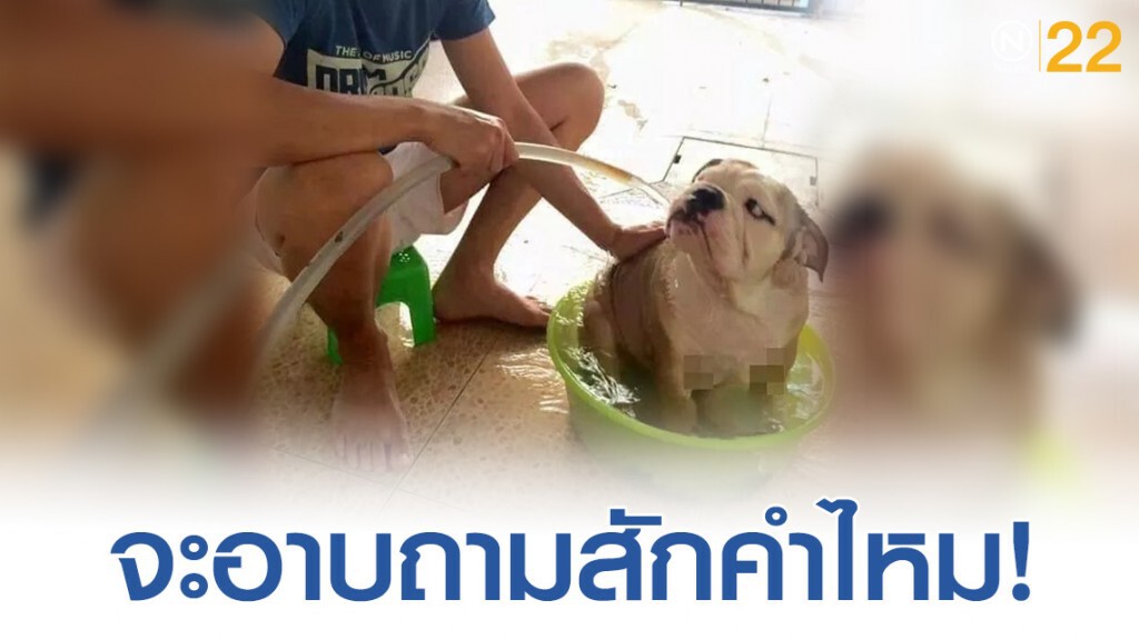 มนุษย์ครับ! ถามผมก่อนไหมจะอาบน้ำให้เนี่ย มนุษย์ครับ! ถามผมก่อนไหมจะอาบน้ำให้เนี่ย