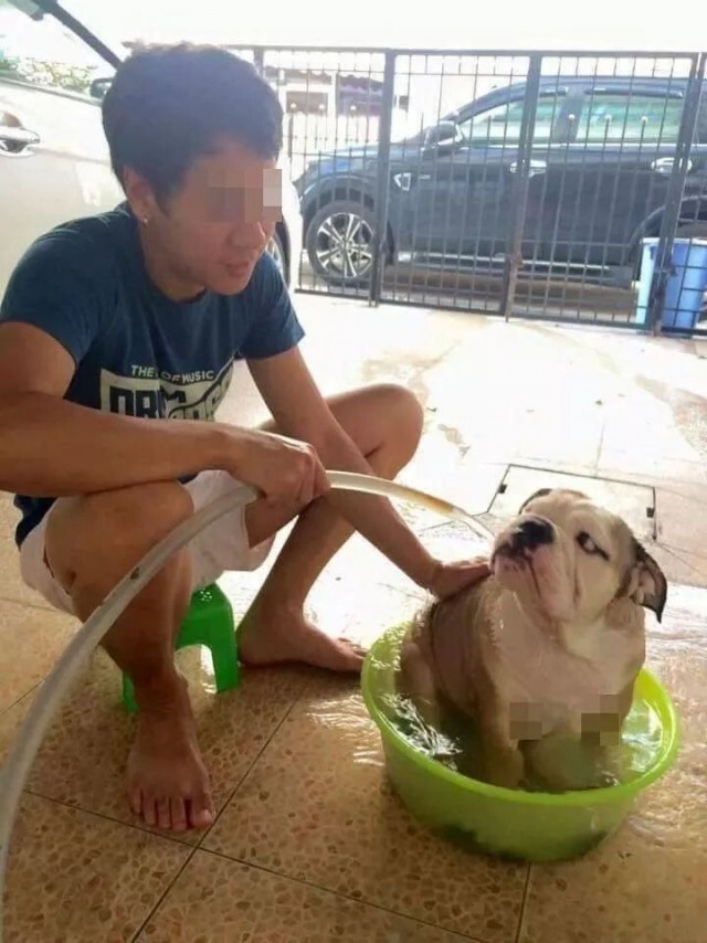 มนุษย์ครับ! ถามผมก่อนไหมจะอาบน้ำให้เนี่ย