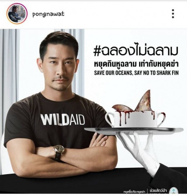 "ป้อง" ณวัฒน์ เตรียมเดินเข้าทำเนียบ จี้ "ฉลองไม่ฉลาม"!