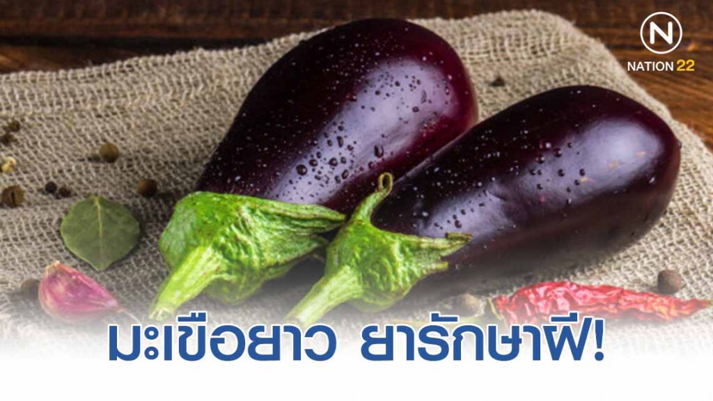 มะเขือยาว : ยารักษาฝี