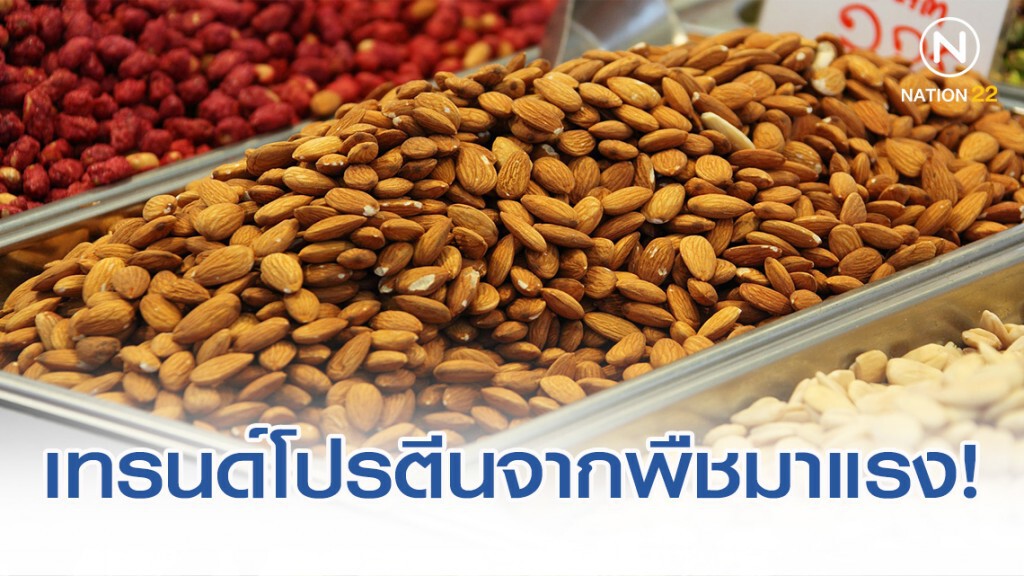 เทรนด์โปรตีนจากพืชมาแรง