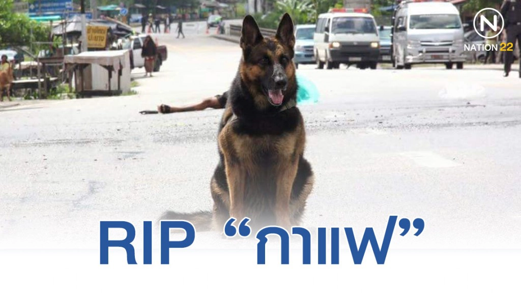 อาลัย "เจ้ากาแฟ" น้องหมาชายแดนใต้