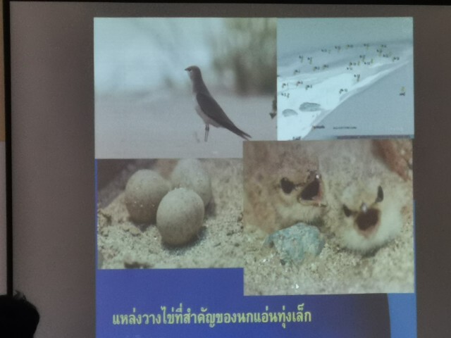 ถ้าไม่มีสัญญาซื้อขายไฟ.. ก็ไม่เกิดเขื่อนกั้นกลางโขง