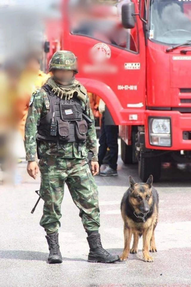 อาลัย "เจ้ากาแฟ" น้องหมาชายแดนใต้