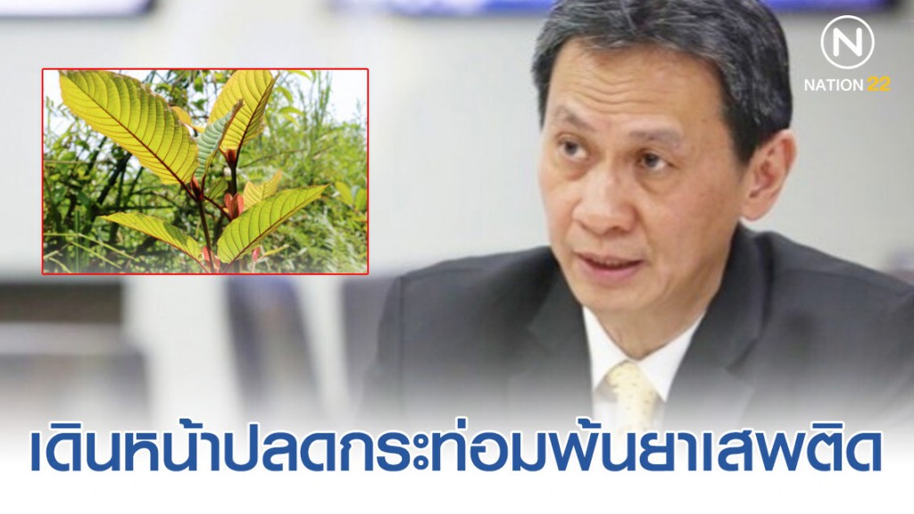 ป.ป.ส.หนุนแนวคิด ปลดกระท่อมพ้นบัญชียาเสพติด ป.ป.ส.หนุนแนวคิด ปลดกระท่อมพ้นบัญชียาเสพติด