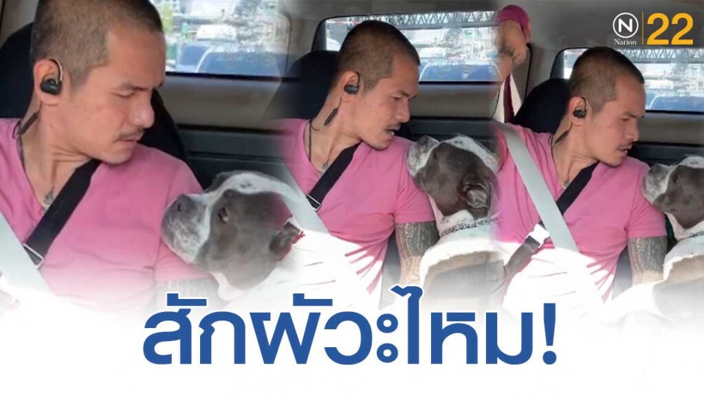 เปิดภาพสุดฮา! หนุ่มโมโหดุน้องโชว์โซเชียล สักผัวะไหม เปิดภาพสุดฮา! หนุ่มโมโหดุน้องโชว์โซเชียล สักผัวะไหม