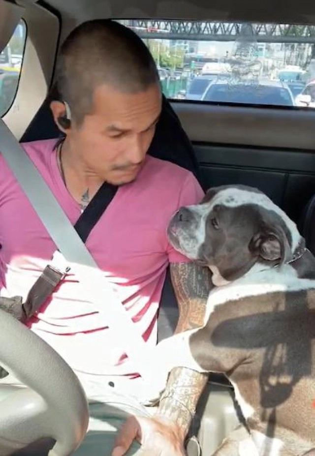 เปิดภาพสุดฮา! หนุ่มโมโหดุน้องโชว์โซเชียล สักผัวะไหม