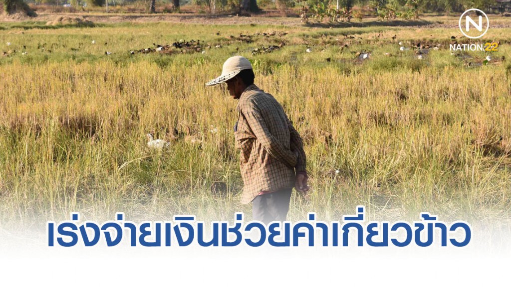 ธ.ก.ส. เร่งจ่ายเงินช่วยเหลือค่าเก็บเกี่ยวข้าว