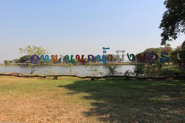 จระเข้โผล่อีก! ที่บึงบอระเพ็ด