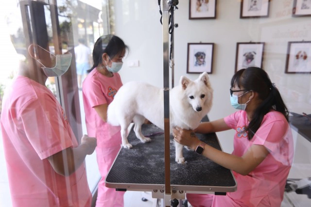 พาไปเช็คอิน ที่ ปอร์โต เดอ ภูเก็ต