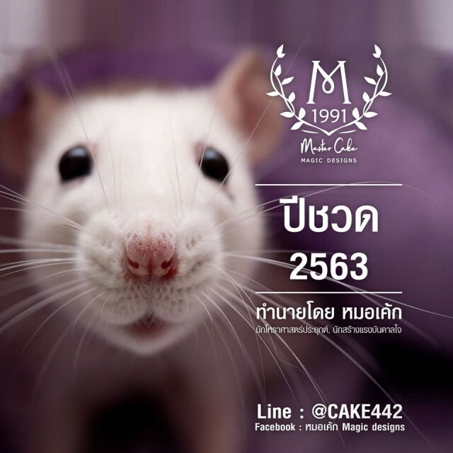หมอเค้ก เปิดดวงปีชวด 2563  เป็นปีที่ดีที่จะเริ่มต้นทำอะไรใหม่ๆ