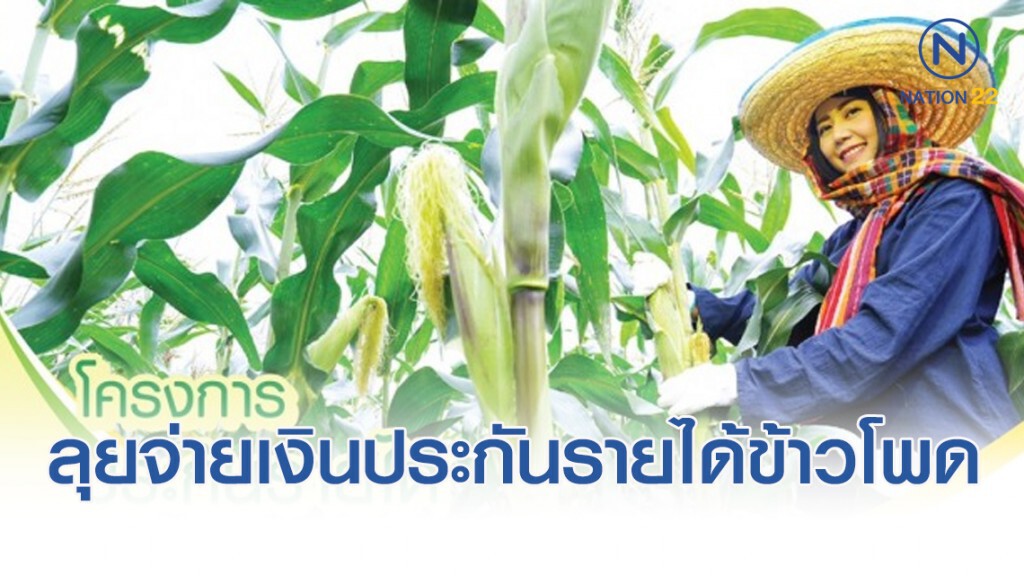 ธ.ก.ส.ลุยจ่ายเงินประกันรายได้ข้าวโพดแล้ว 215 ล้านบาท