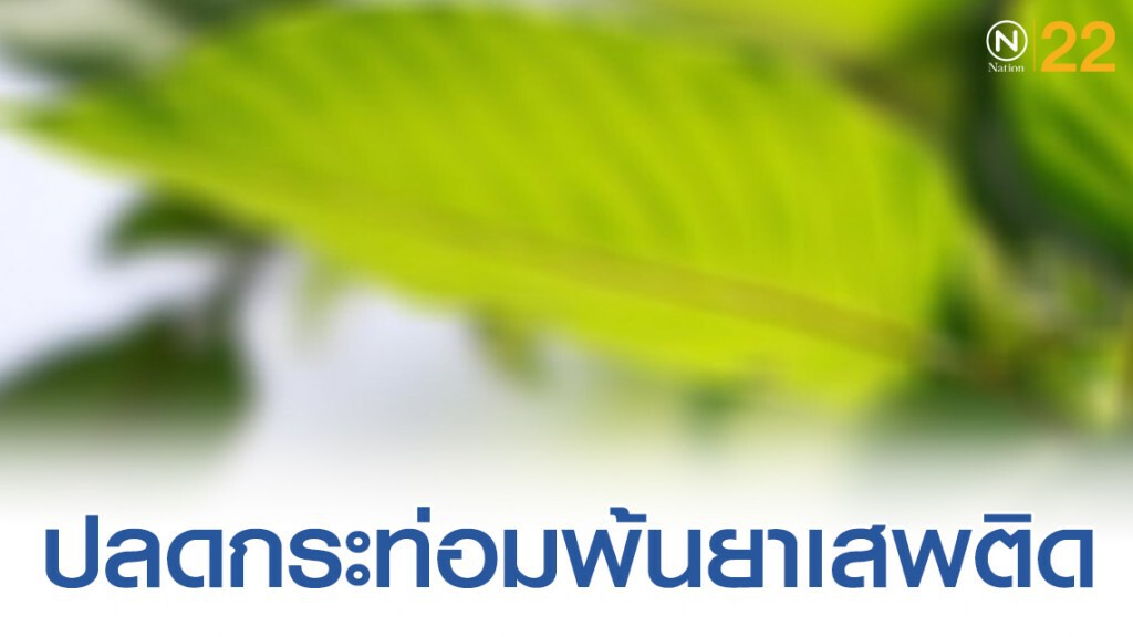 ยธ.-สธ.จับมือปลดกระท่อมพ้นยาเสพติด ยธ.-สธ.จับมือปลดกระท่อมพ้นยาเสพติด