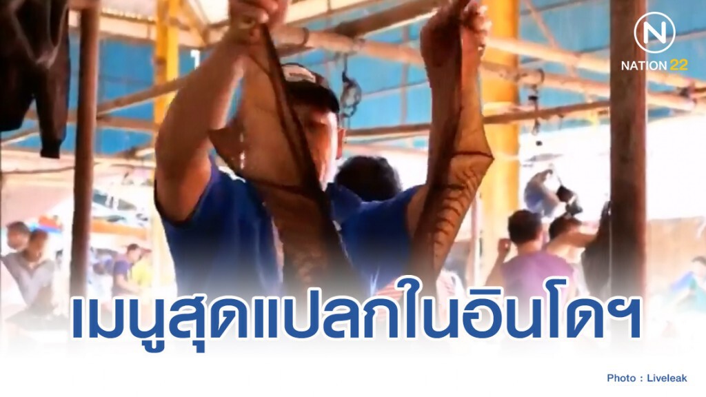 เมนูสุดแปลก!! "ค้างคาวแม่ไก่" วางขายในอินโดฯ เมนูสุดแปลก!! "ค้างคาวแม่ไก่" วางขายในอินโดฯ