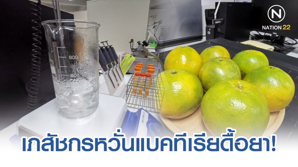 สวนส้ม​ฉีด​แอมพิซิลลิน! เภสัชกรหวั่นแบคทีเรีย​ดื้อยา​ เปื้อนห่วงโซ่อาหาร​