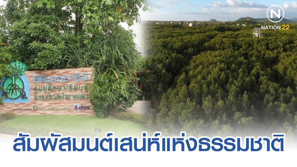 ปตท. ชวนเที่ยวปีใหม่สัมผัสมนต์เสน่ห์แห่งธรรมชาติ