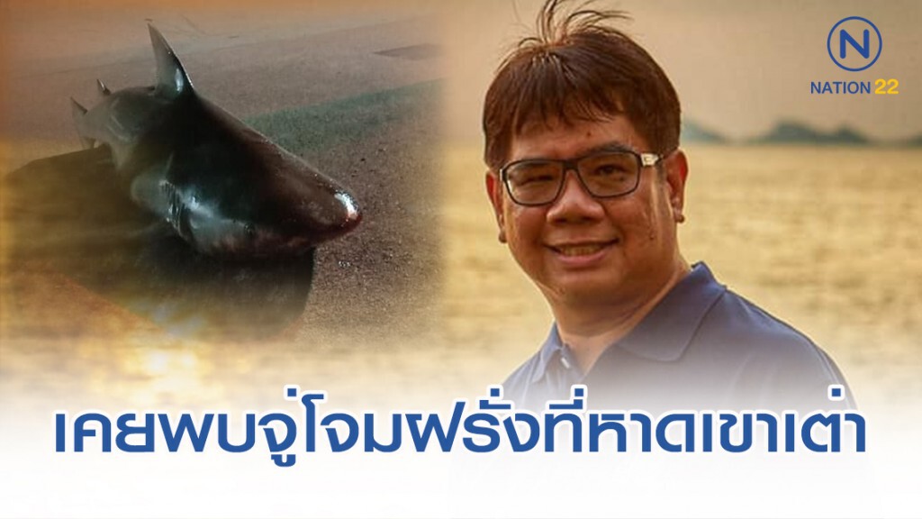 "ดร.ธรณ์" เผย ฉลามพันธ์ที่พบใกล้บางแสน เคยจู่โจมฝรั่งที่หาดเขาเต่า