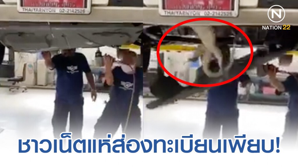 ช่างกำลังตรวจรถป้ายแดงถึงกับตกใจ! เจอตัวเงินตัวทองโผล่ใต้ท้องรถ ช่างกำลังตรวจรถป้ายแดงถึงกับตกใจ! เจอตัวเงินตัวทองโผล่ใต้ท้องรถ