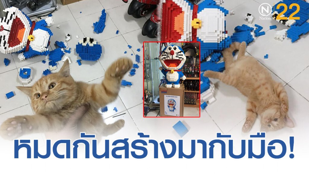 เเตกหนึ่ง! เจ้าเหมียวสุดเเสบ ทำของเล่นพัง เเตกหนึ่ง! เจ้าเหมียวสุดเเสบ ทำของเล่นพัง