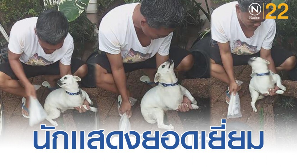 โซเชียลยก! รางวัลนักเเสดงยอดเยี่ยมเเห่งปีคือ "เจ้าหมาน้อย" โซเชียลยก! รางวัลนักเเสดงยอดเยี่ยมเเห่งปีคือ "เจ้าหมาน้อย"