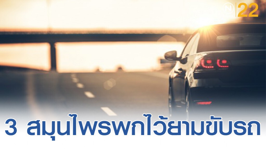 "3 สมุนไพร" ควรพกไว้ยามเดินทาง "3 สมุนไพร" ควรพกไว้ยามเดินทาง