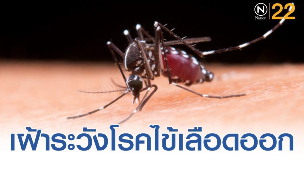 แอปพลิเคชั่น "ทันระบาด" เฝ้าระวังโรคไข้เลือดออก
