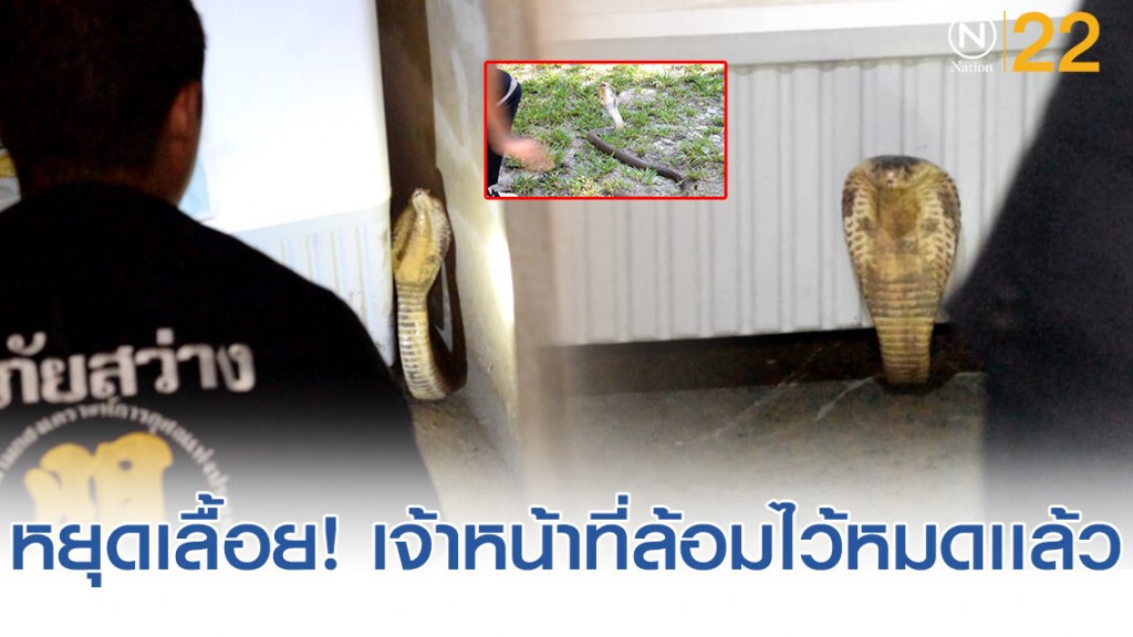 หนุ่มกำลังอาบน้ำ ตักน้ำได้ 1 ขัน หันไปเจอห่างงูถึงกับวิ่ง