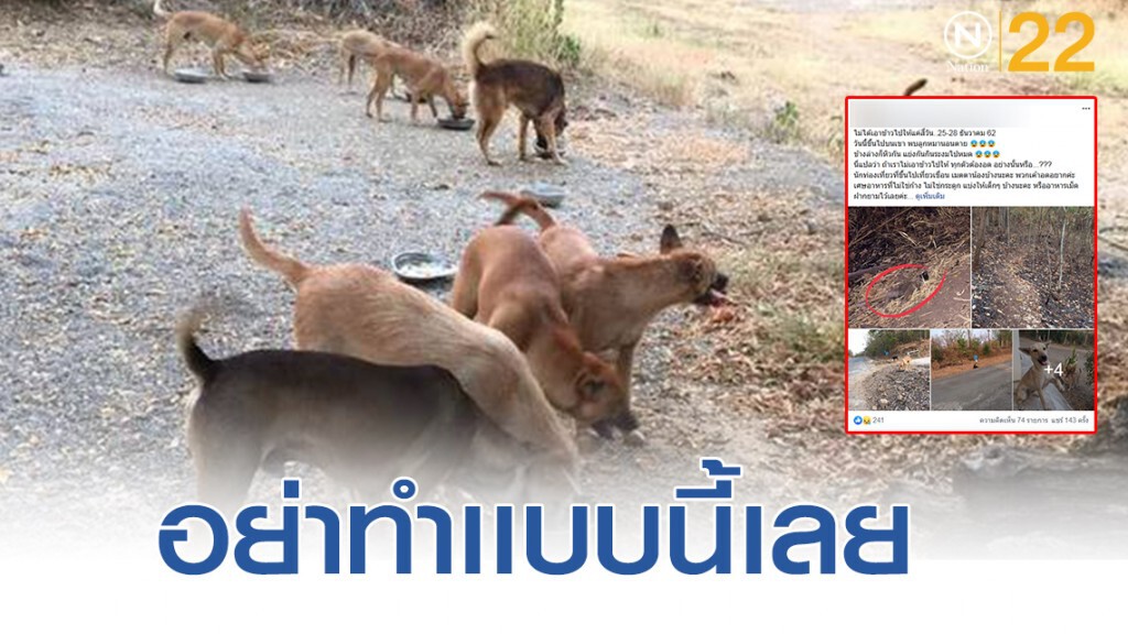 ครูเกษียณวอนอย่านำหมามาปล่อยอีก หลังรับเลี้ยงไม่ไหวแล้ว
