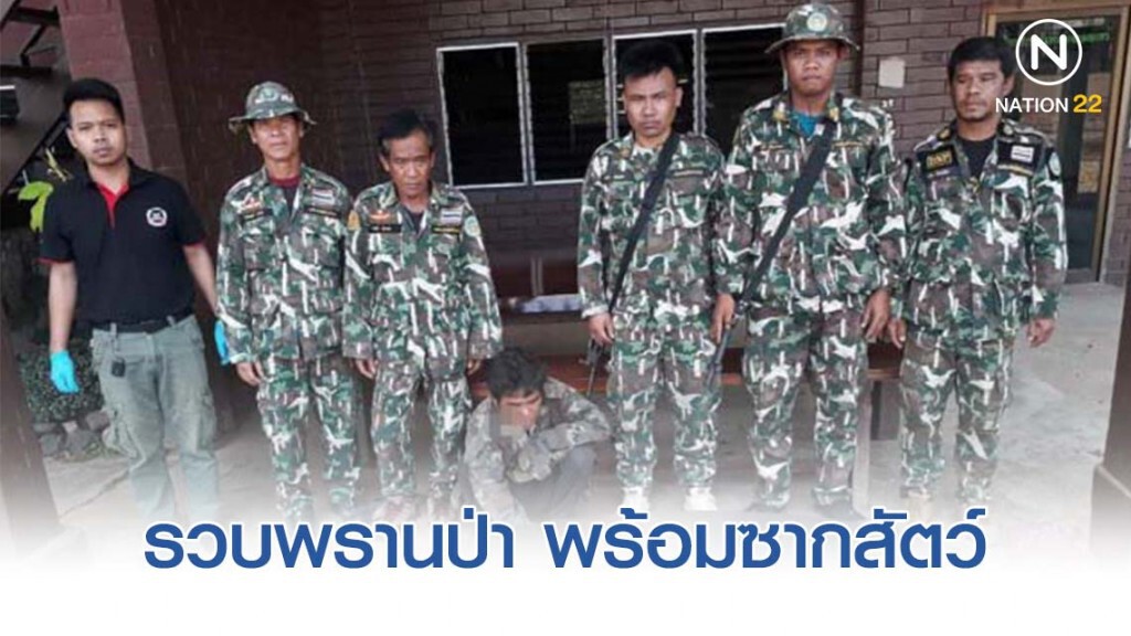 รวบพรานป่า พร้อมซากเม่นใหญ่ กระจง และหมูป่า รวบพรานป่า พร้อมซากเม่นใหญ่ กระจง และหมูป่า