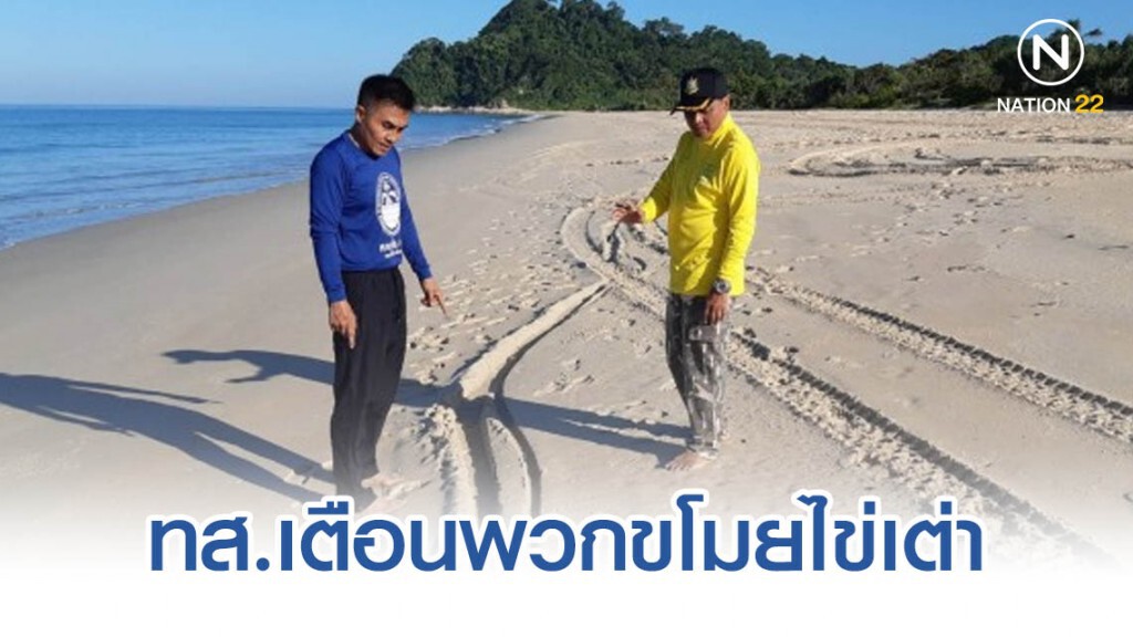 ทส.เตือนพวกขโมยไข่เต่า