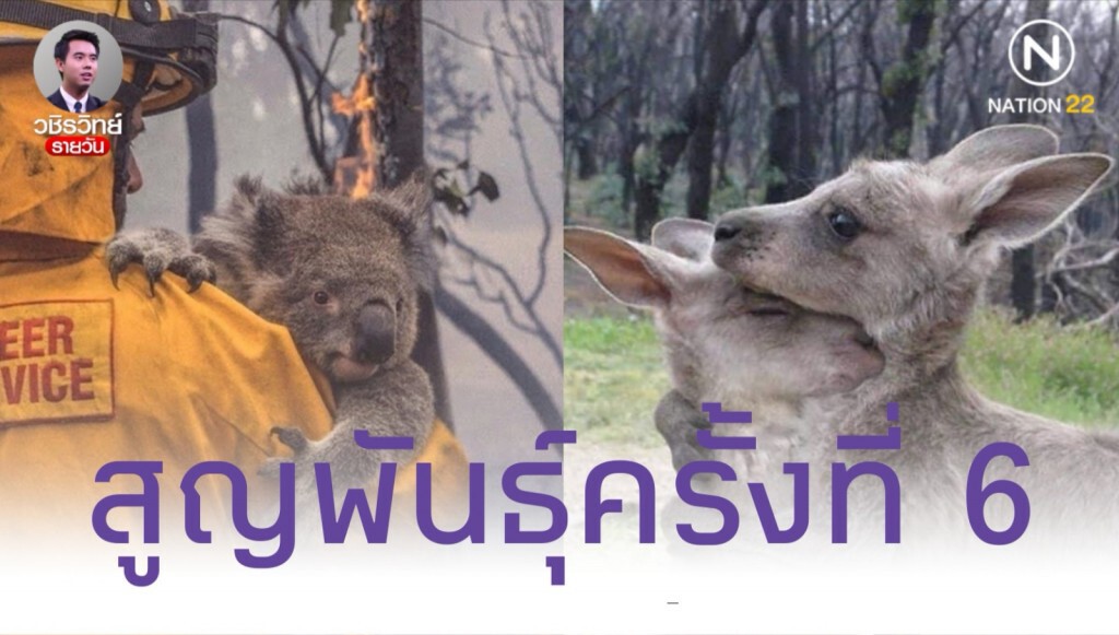 โลกของเรากำลังเข้าสู่ยุคการสูญพันธุ์ ครั้งที่ 6 โลกของเรากำลังเข้าสู่ยุคการสูญพันธุ์ ครั้งที่ 6